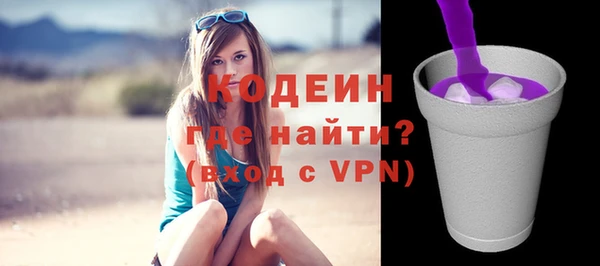 гашик Бородино